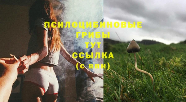 гашишное масло Гусев