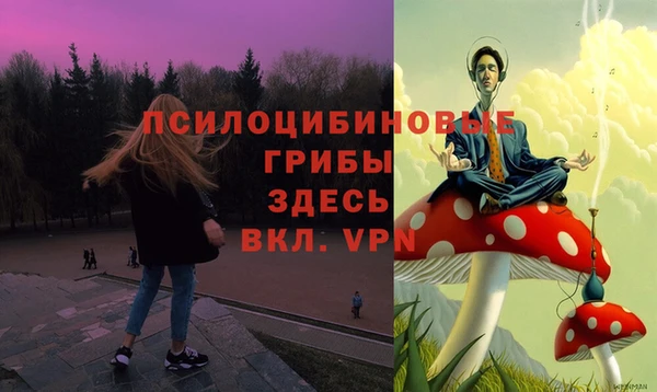 прущая мука Гусь-Хрустальный