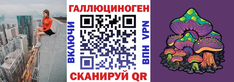 Купить где  Карабаново  Галлюциногенные грибы Psilocybine cubensis 