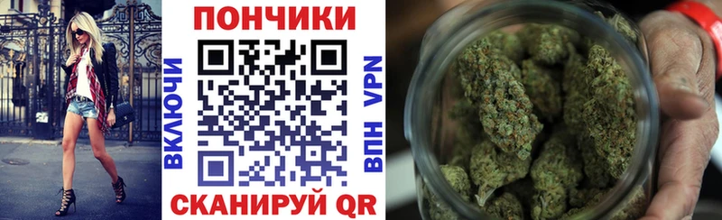 Купить закладки  Карабаново  Бошки Шишки SATIVA & INDICA 